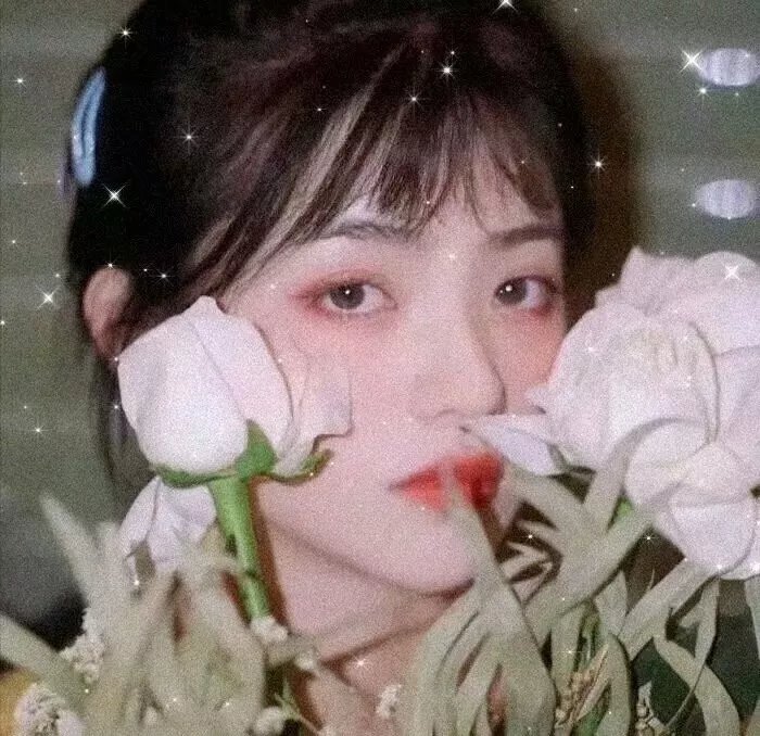 丫鬟不好惹