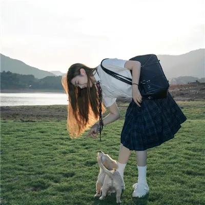 被怀疑：兔子和刺猬